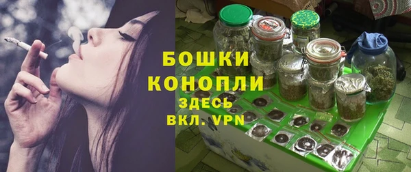 PSILOCYBIN Белокуриха